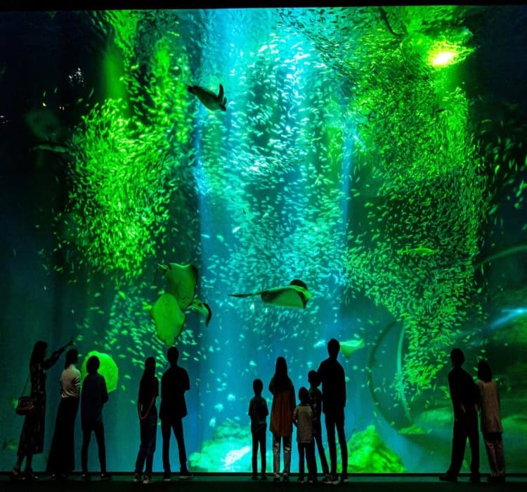 Family-Friendly Fun: Ibaraki’s Wildlife & Theme Parks