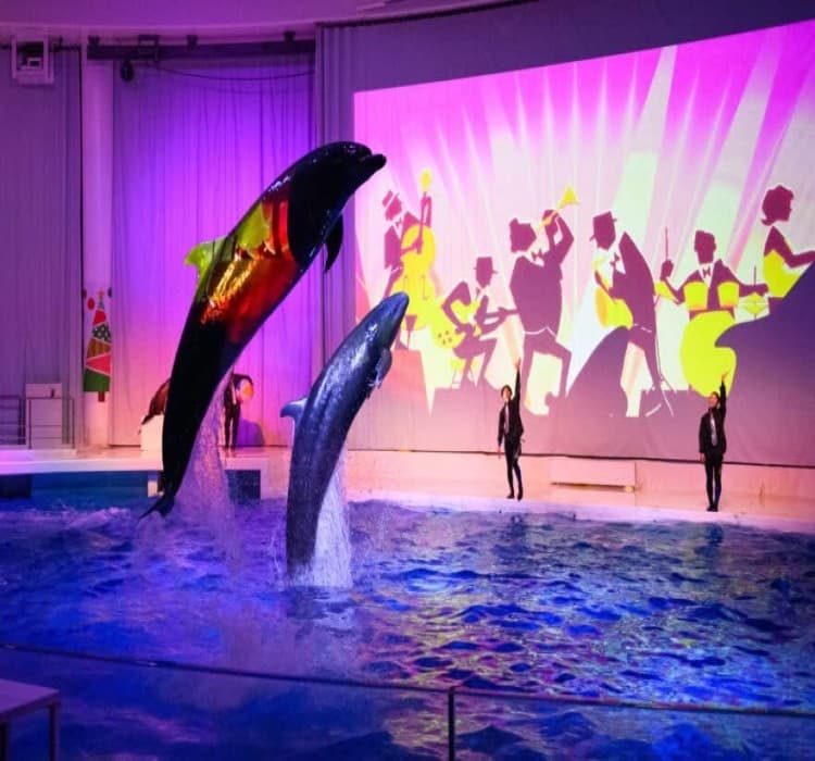 Family-Friendly Fun: Ibaraki’s Wildlife & Theme Parks