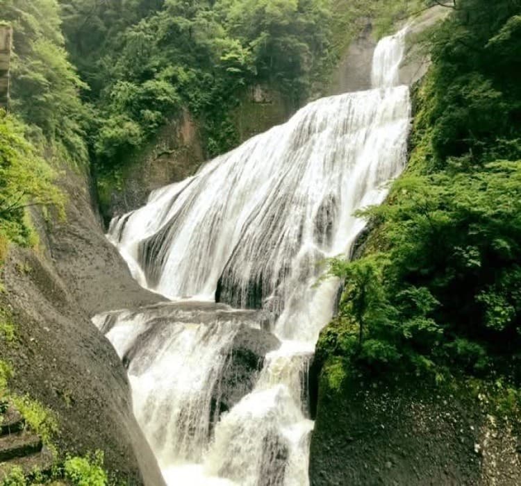 Ibaraki Nature Escape: Hitachi Seaside Park & Fukuroda Falls