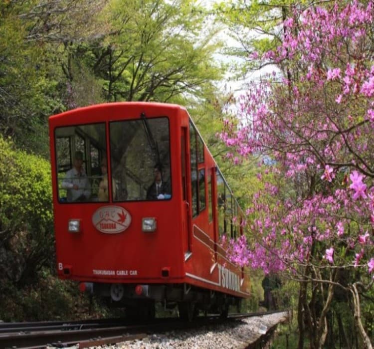 Ultimate Adventure: Mt. Tsukuba Summit & Space Center Exploration Tour