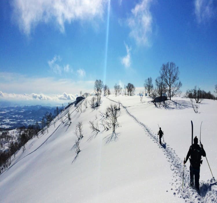 Niseko 5-Day Ski Adventure
