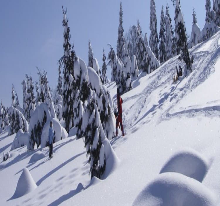 Shiga Kogen 3-Day Powder Escape