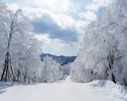 Hakuba Powder Escape: 3-Night Ski Adventure