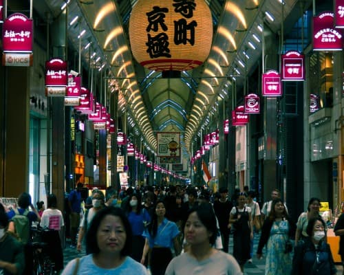 The Art of Fermentation: Sake, Miso & Soy Sauce Tour