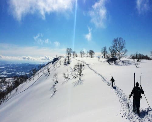 Niseko 5-Day Ski Adventure